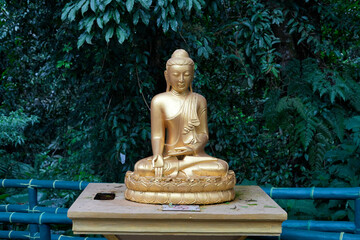 taking a shot of Buddha's golden statue