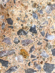 stone wall background