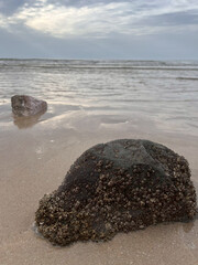 rocks on the beach