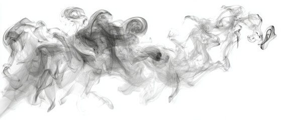 Fototapeta premium Abstract Black Smoke Swirls on White Background