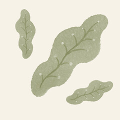 vector illustration watercolor green leaves on transparent background.