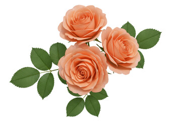 Isolated Bouquet of Peach Roses with Green Leaves