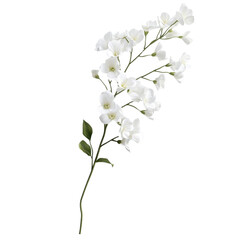 Obraz premium White flowers bloom amidst vibrant abstract lines a serene contrast of nature and art