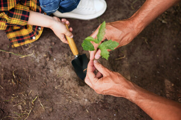 Naklejka premium Father and his son planting tree into soil outdoors, closeup