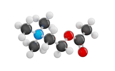 Acetylcholine isolated on transparent background. Detailed 3D model of molecule. Molecular formula: C7H16NO2. Chemical model: Ball and Stick. 3D illustration