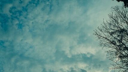 A low-angle view of a cloudy sky with a silhouette of bare tree branches.
