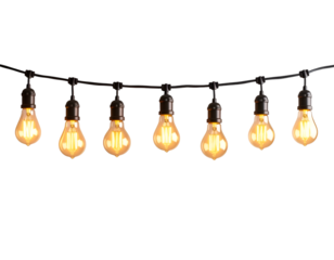 Vintage light bulb string: Warmly illuminated vintage light bulbs suspended on a black wire create a cozy and inviting atmosphere, ready to bring a touch of vintage charm to any space.