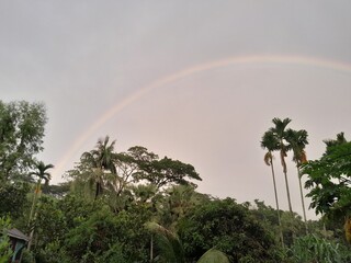 Village nature with a rainbow after rain. Cloudy sky with green plants in nature in Bangladesh 