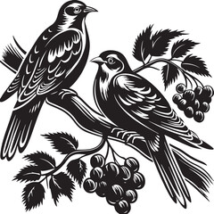 Naklejka premium Some beautiful birds are sitting on the branches of the grape tree