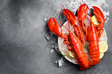Seafood. Two whole boiled red lobsters on a plate with ice, top view.
