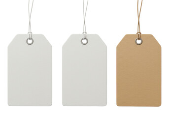 Isolated Blank White and Brown Tags for Retail and Pricing