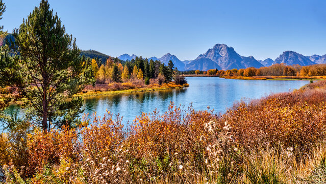 A beautiful and colorful fall scene along the water's edge with the background of the grand teton mountains