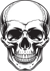 Vintage Style Skull, Vector Illustration