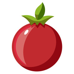  pomegranate on white background