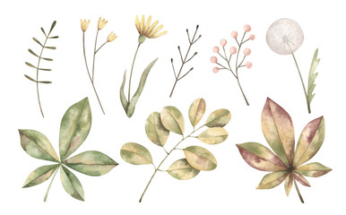 Watercolor hand-drawn clip art with wildflowers, branches and leaves.