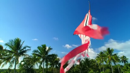 Red kite soaring with tropical beach.