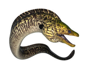 fantasy underwater eel monster with sharp teeth and vibrant yellow-black striped body on isolated background, 3d rendered sea creature with open mouth and glowing eyes
