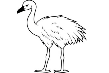 Obraz premium Cute cartoon ostrich standing with clear black outline, simple vector line art for children’s coloring page, featuring long neck and thick legs on white background