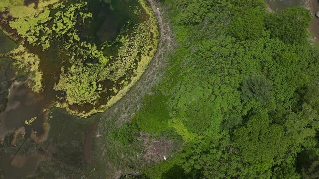Natural barrier Islands and wildlife preserves in Buzzards Bay in Massachusetts south of Plymouth and Cape Cod Bay 