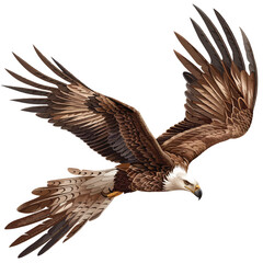Majestic Eagle in Flight Displaying Detailed Feather Patterns and Powerful Wingspan