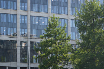 Innovative Modern Urban Architecture Featuring Lush Greenery and Harmonious Design Elements