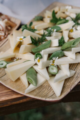 Cheese plate with fresh herbs, aesthetic table setting