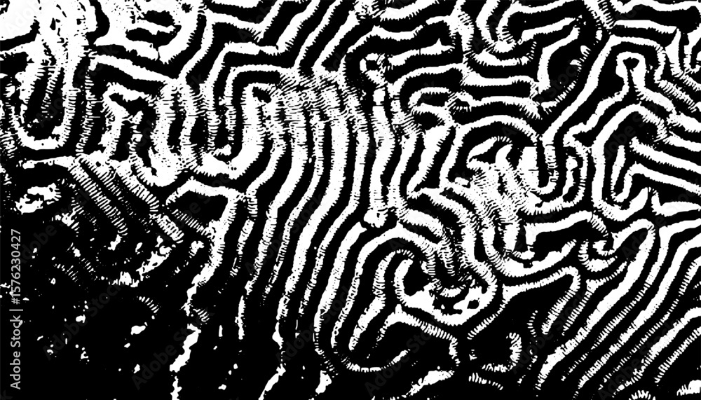 Poster black and white abstract and grunge pattern for beast background and design element. safari pattern.