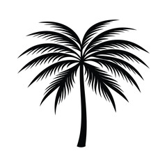 Obraz premium Simple black silhouette of a palm tree with fronds on a white background