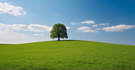 Ultra-realistic 16K serene landscape: Lone tree on lush green field under clear sky, ideal for meditation wallpapers, eco-tourism ads, or luxury home decor