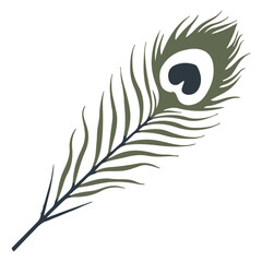 Natural Peacock Feather Vector