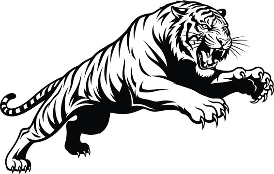 A black and white illustration of a tiger leaping forward with its mouth open and claws extended on transparent background silhouette