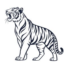  tiger vector graphic and illustration
