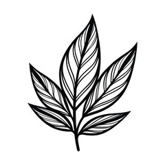 Stylized black and white illustration of a plant with three leaves and intricate vein patterns