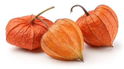 Three Orange Physalis Lanterns on White, Nature ,Fruit