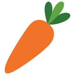 carrot vector illustration
