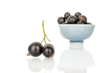 Ripe black currant isolated on white background, macro.