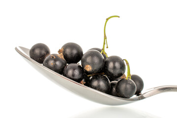 Ripe black currant isolated on white background, macro.