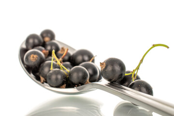 Ripe black currant isolated on white background, macro.