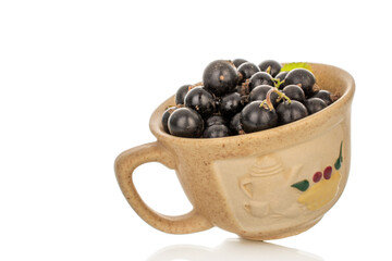 Ripe black currant isolated on white background, macro.
