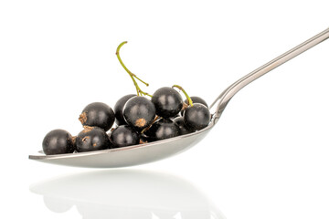 Ripe black currant isolated on white background, macro.