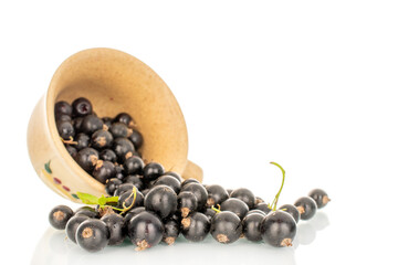 Ripe black currant isolated on white background, macro.