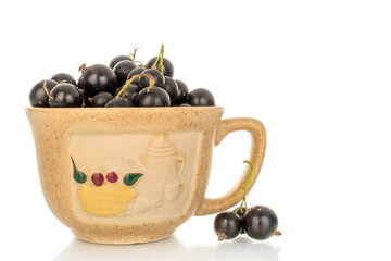 Ripe black currant isolated on white background, macro.