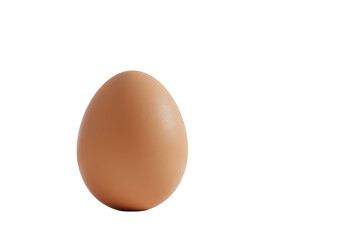 Isolated Simple Brown Chicken Egg Organic