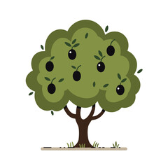 Olive tree with black olives and green leaves on white background ,  svg, isolated .. white background, Olive Festival


