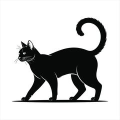 Black cat silhouette walking with curled tail on white background animal