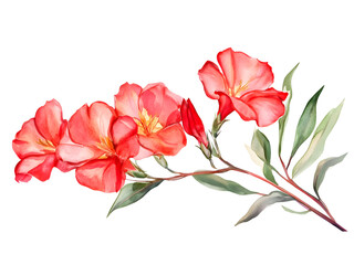 Vibrant red flowers and leaves on a transparent background, cut out, PNG 3D Digital Art, clip art.