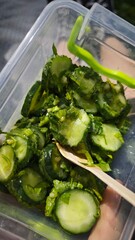 Fresh cucumber salad with herbs in plastic container and wooden fork on picnic blanket outdoors. Concept of healthy eating, freshness and enjoying light summer meals outside