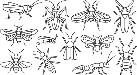  Various Insects Line Art Bugs Outline Vector Graphics Set