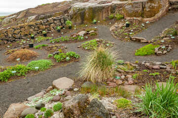 Herb garden in the Faroe Islands 2022
