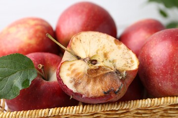Spoiled apple and good ones in basket on white table, closeup
